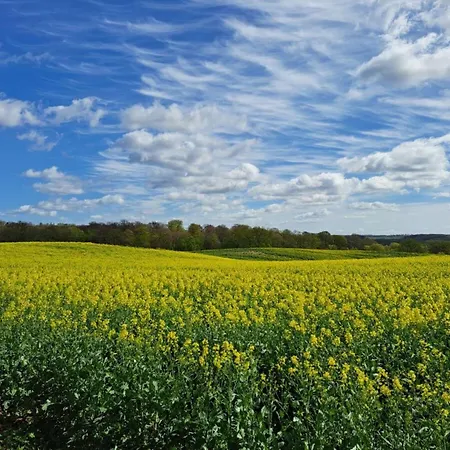 Comfortable Σπίτι διακοπών