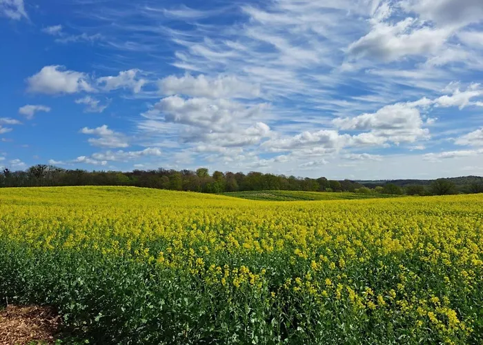 Comfortable Ferienhaus